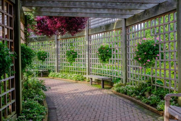 Veranda Enclosure Building - Veranda Enclosure Building Round Rock, Texas
